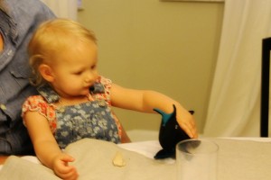 Puppies, puppies, everywhere!