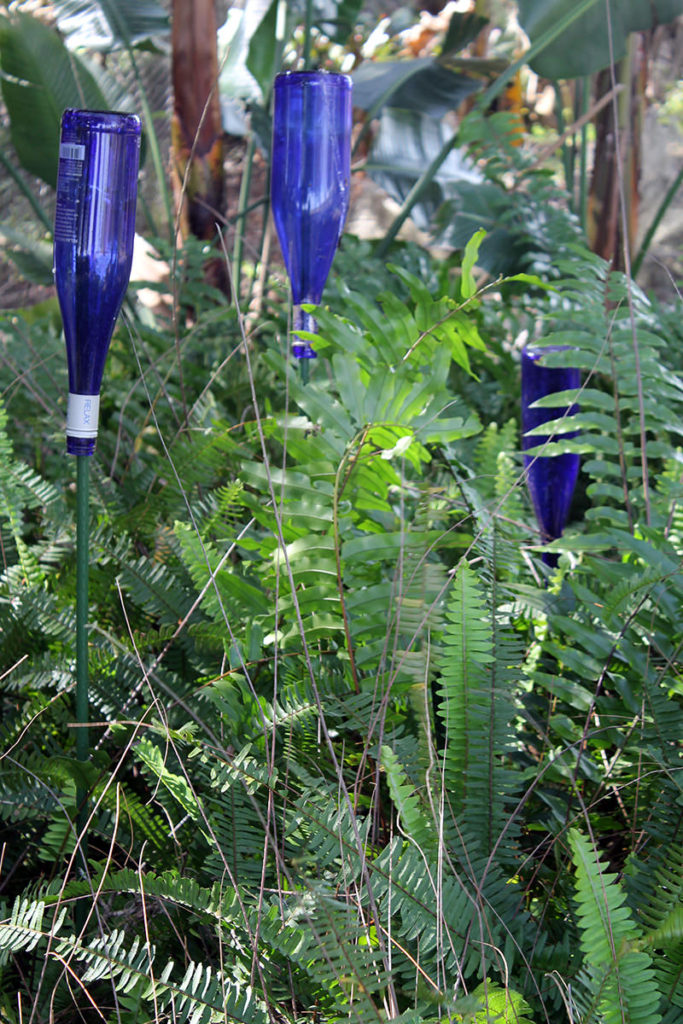 blue bottle garden
