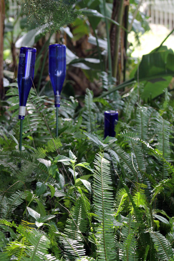 blue bottle garden