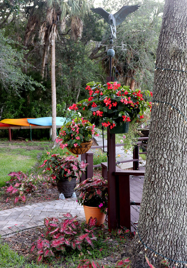 pots of pretty