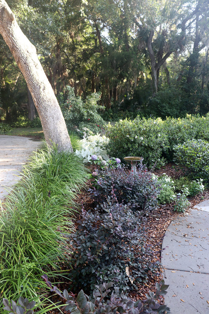 Front door garden