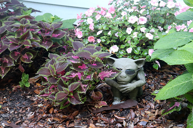 Front door garden