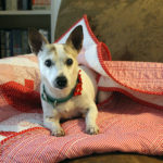 Candy Cane Quilt