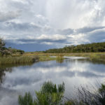 view of marsh