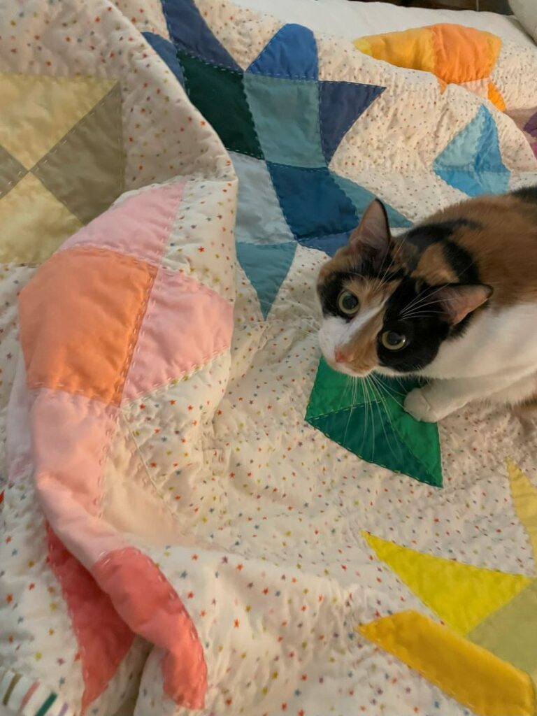 lucy the quilt