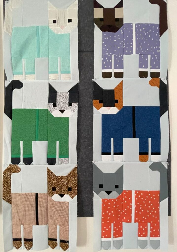 cats in pajamas, the blocks