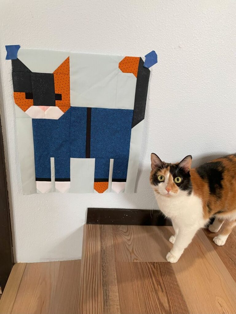 cats in pajamas, the blocks, calico cat