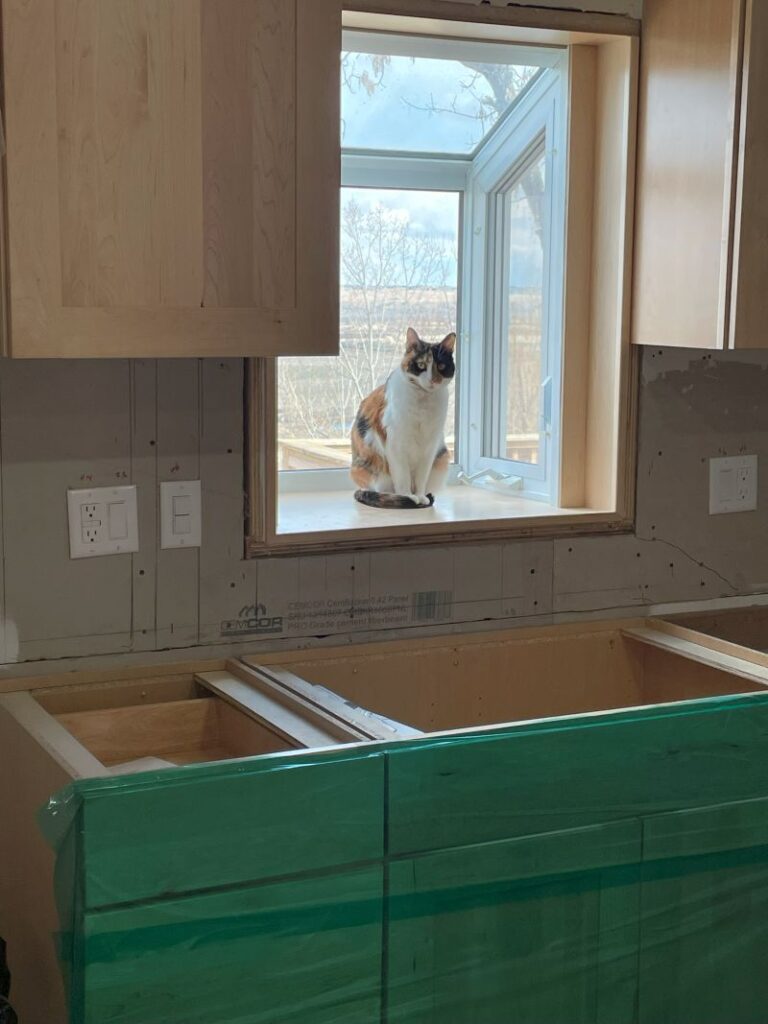 progress New kitchen