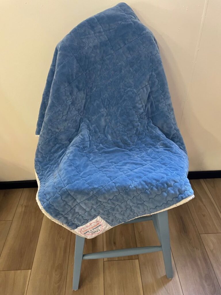 cats in pajamas baby quilt