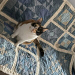 moda blockheads 6 tabletopper