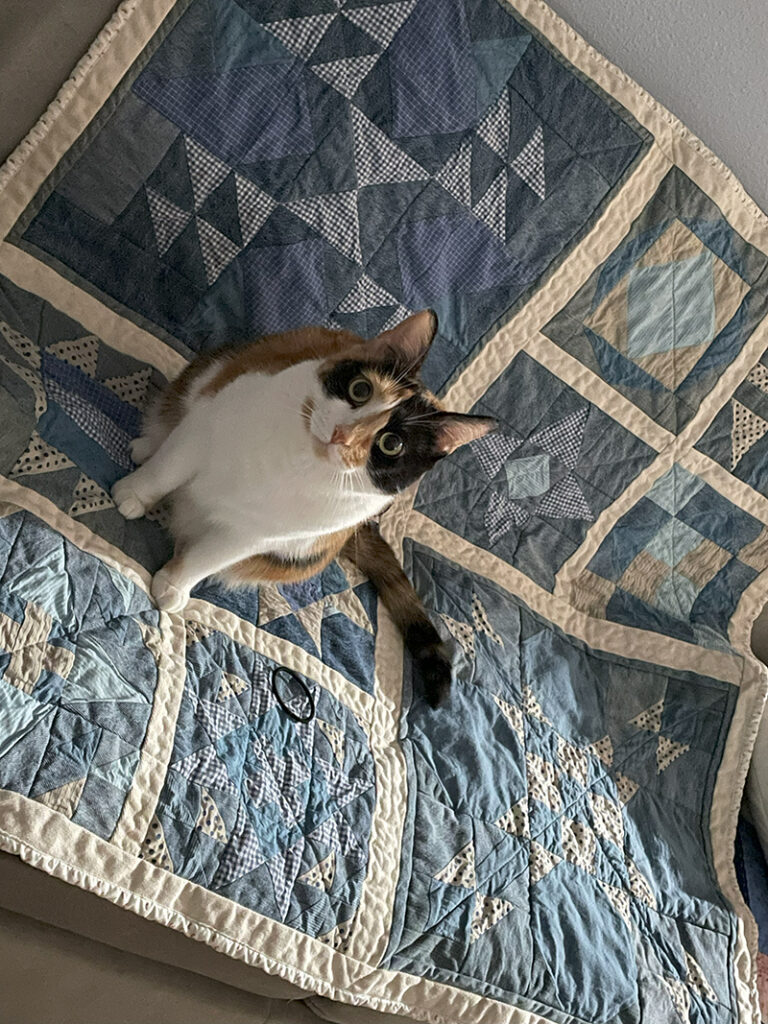 moda blockheads 6 tabletopper